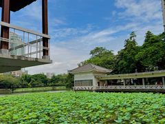 -荔湾湖公园
