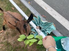 -三亚西岛海洋文化旅游区