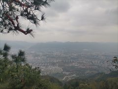 -缙云山景区