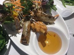 -大茴香越法料理(SOHO复兴店)