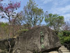 -深圳仙湖植物园