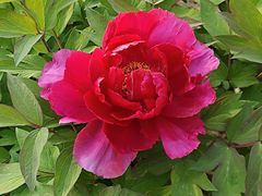 -江南大学(蠡湖校区)