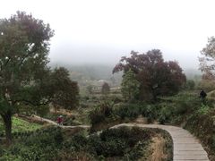 -塔川景区
