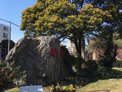 -上海市第七人民医院