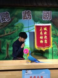-未来动物城主题公园(正弘城店)