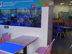 -海合安成都极地海洋公园