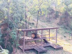 -石家庄市动物园