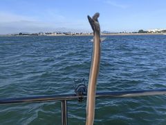 -鑫艋游艇海钓俱乐部