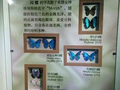 android_upload_pic-上海昆虫博物馆