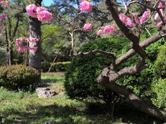 -香山公园