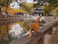 -西园戒幢律寺