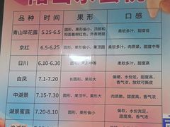 -老袁家蜜桃农场·阳山水蜜桃