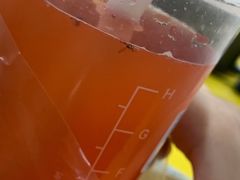 -CoCo都可(嘉定日月光店)