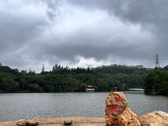-深圳仙湖植物园