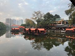 -侨美·唐荔园·40年地道粤菜