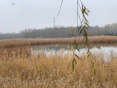 -野鸭湖国家湿地公园