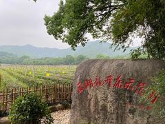 -中国茶叶博物馆(双峰馆区)