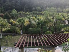 -神光山国家森林公园