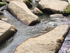 -汤旺河林海奇石景区
