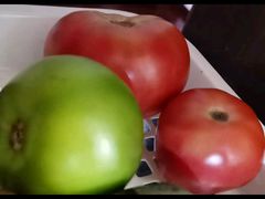-辛一·铜锣烧(鸿寿坊店)