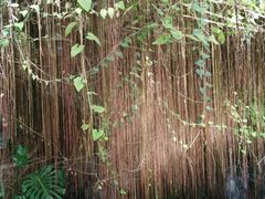 -北戴河集发农业梦想王国