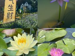 -广州莲花山旅游区