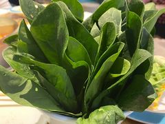 菠菜-青瓷火锅料理(西单大悦城店)