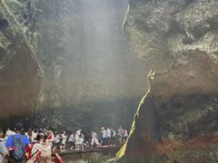 -牛背梁国家森林公园