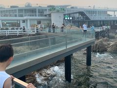 -北戴河碧螺塔海上酒吧公园