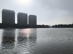 -南翔镇银翔湖公园