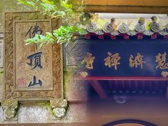 -普陀山慧济禅寺