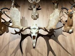 -陕西自然博物馆