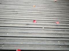 -南翔镇银翔湖公园