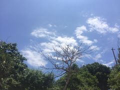 -白沙湾海滩