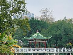 -柳侯公园