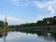 -洨河生态公园
