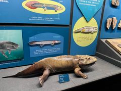 -国家自然博物馆