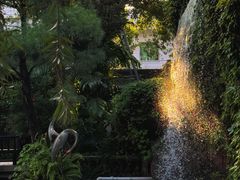 -碧江金楼