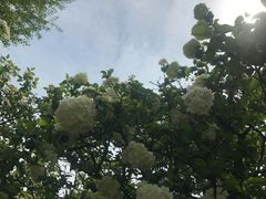 -苏州上方山国家森林公园