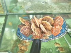 -四海鲜渔家菜(黄金海岸店)