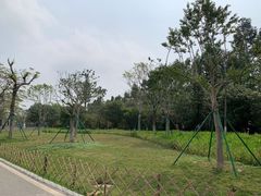 -海珠湖公园