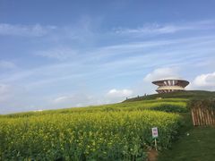 -光明小镇欢乐田园