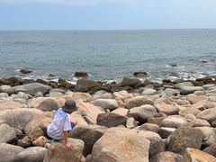 -广东惠东海龟国家级自然保护区