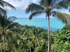 -四季酒店下午茶