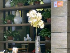 -金枝玉叶上海人家食府(三里河店)