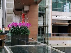 -上海外滩茂悦大酒店