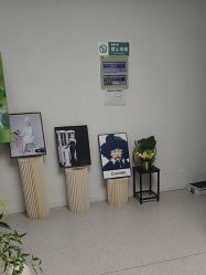 -斐尔国际皮肤管理中心