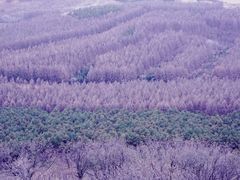 -帽儿山国家森林公园