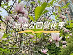 -晓港公园