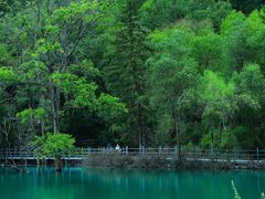 -叠溪松坪沟景区